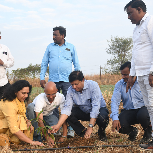 Project Van Dhara Under Varun Beverages Ltd’s CSR Arm RJ Foundation – 6 months