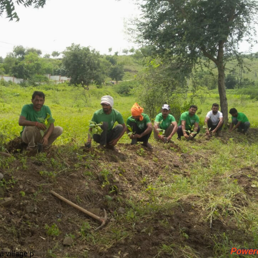Nature’s Answer: Roots for Tomorrow’s Green Mission – Planting