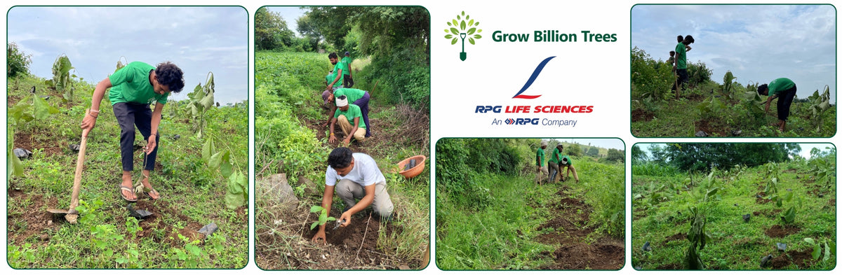 Green Formulations: RPG Life Sciences’ Tree Plantation for Earth