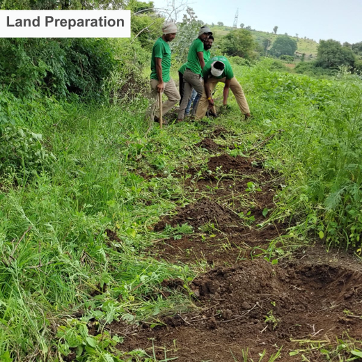 Green Formulations: RPG Life Sciences’ Tree Plantation for Earth – Planting