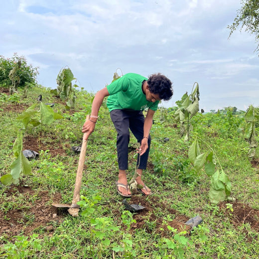 Green Formulations: RPG Life Sciences’ Tree Plantation for Earth – Planting
