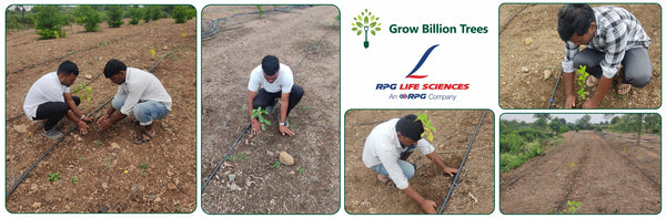 From Pharma to Farm: RPG Life Sciences Champions Environmental Wellness