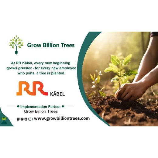 Welcome to the RR Kabel Digital Forest! – Planting