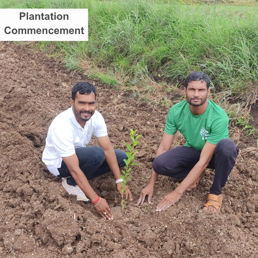 Welcome to the RR Kabel Digital Forest! – Planting