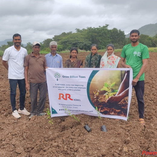 Welcome to the RR Kabel Digital Forest! – Planting