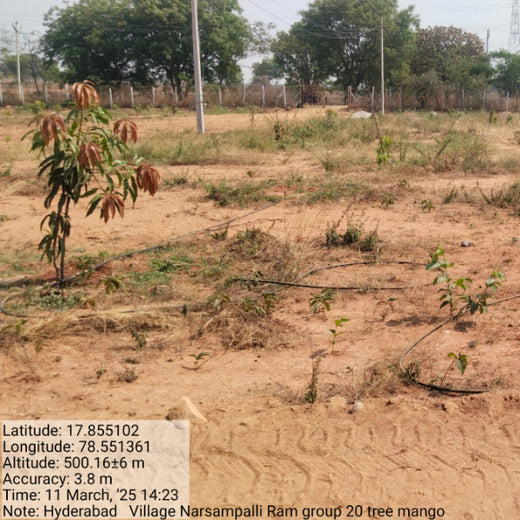 Raam Group Leads the Way with Agroforest Plantation for a Greener Tomorrow – 6 months