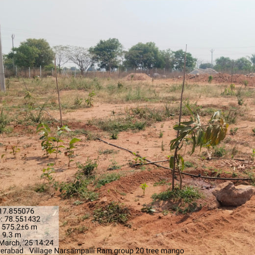 Raam Group Leads the Way with Agroforest Plantation for a Greener Tomorrow – 6 months