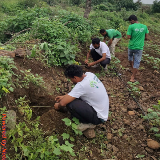 A Tree for Every Frame: Grow Billion Trees Salutes S. S. Rajamouli – Planting