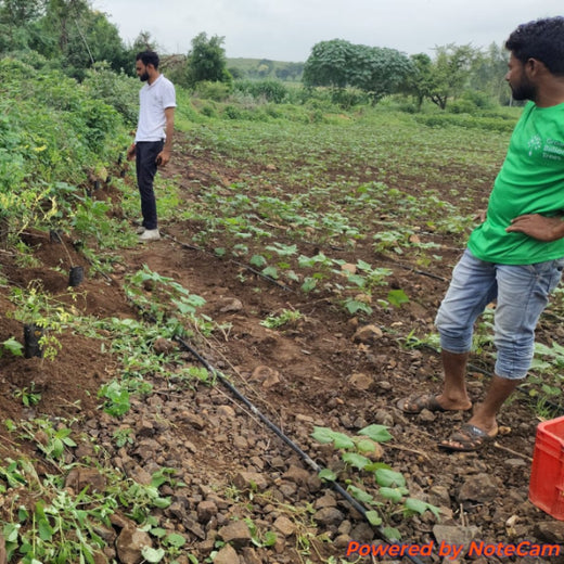 A Tree for Every Frame: Grow Billion Trees Salutes S. S. Rajamouli – Planting