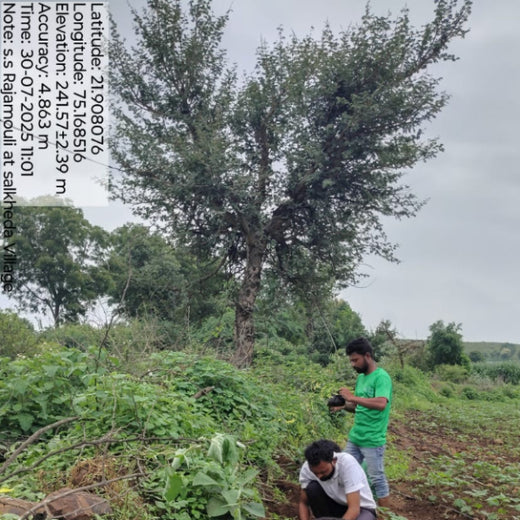 A Tree for Every Frame: Grow Billion Trees Salutes S. S. Rajamouli – Planting