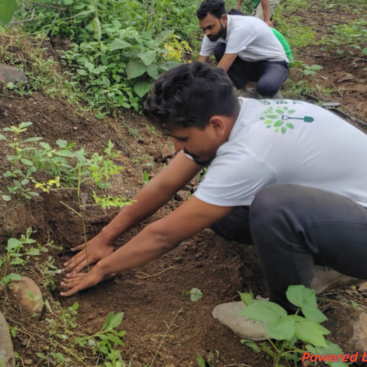 A Tree for Every Frame: Grow Billion Trees Salutes S. S. Rajamouli – Planting