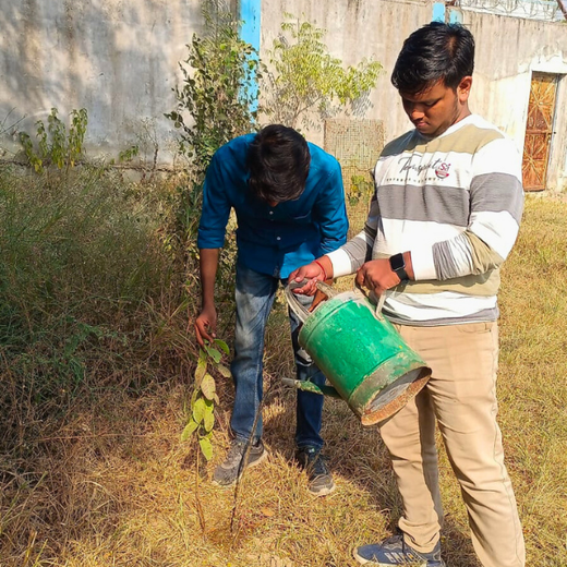 Eco-Explorers: Redwood Edutours’ Urban Forest Tree Planting for Young Minds – Planting