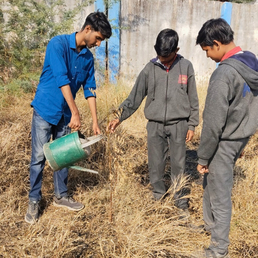 Eco-Explorers: Redwood Edutours’ Urban Forest Tree Planting for Young Minds – Planting