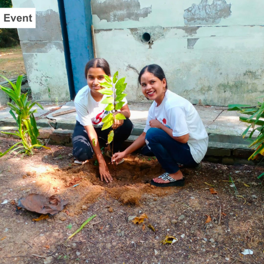 Eco-Explorers: Redwood Edutours’ Urban Forest Tree Planting for Young Minds – Planting