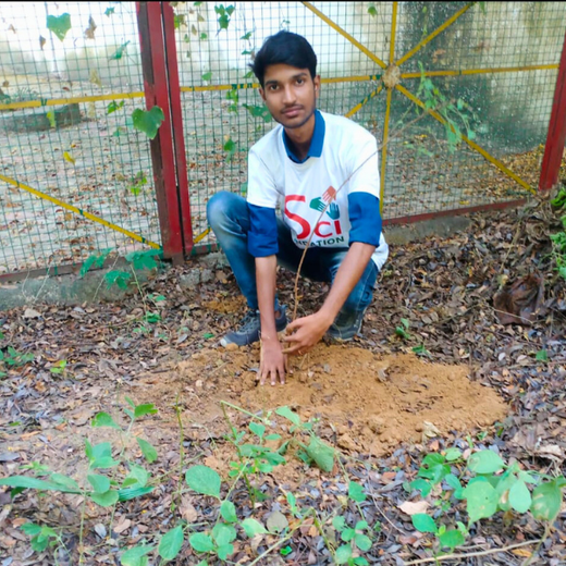 Eco-Explorers: Redwood Edutours’ Urban Forest Tree Planting for Young Minds – Planting