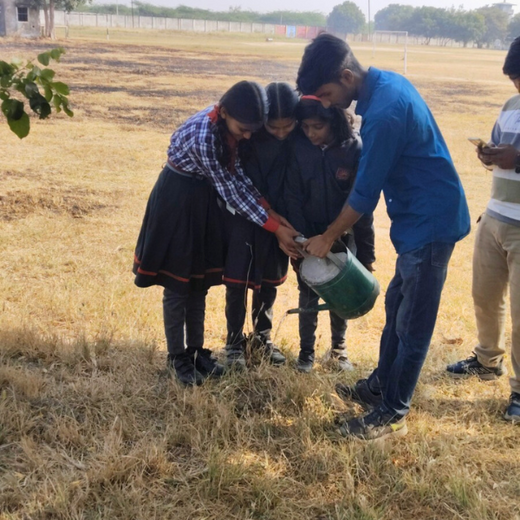 Eco-Explorers: Redwood Edutours’ Urban Forest Tree Planting for Young Minds – Planting