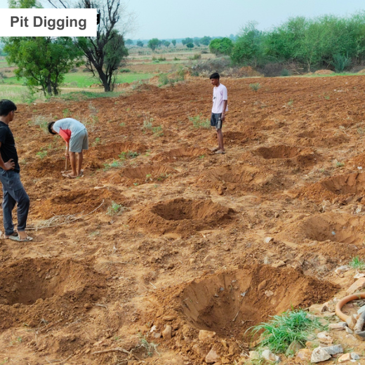 Reliance Foundation's Biodiversity Restoration Project: Sunhera Village – Planting