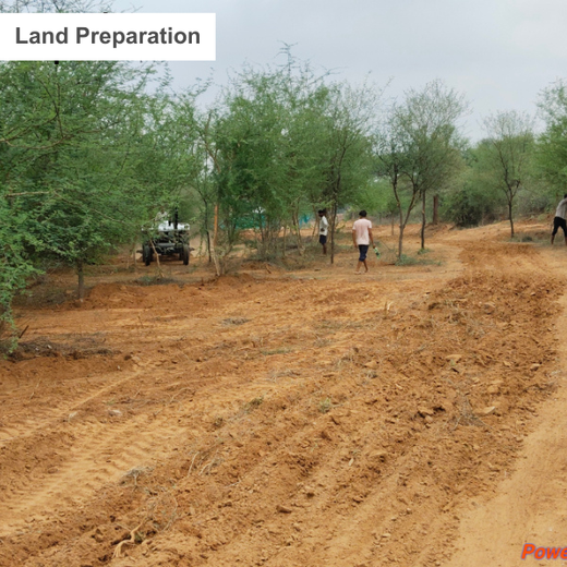 Reliance Foundation's Biodiversity Restoration Project: Sunhera Village – Planting
