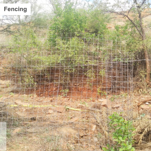 Reliance Foundation's Biodiversity Restoration Project: Sunhera Village – Planting