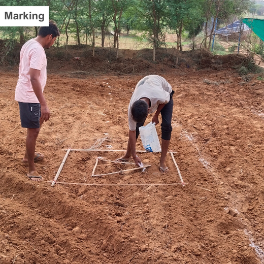 Reliance Foundation's Biodiversity Restoration Project: Sunhera Village – Planting