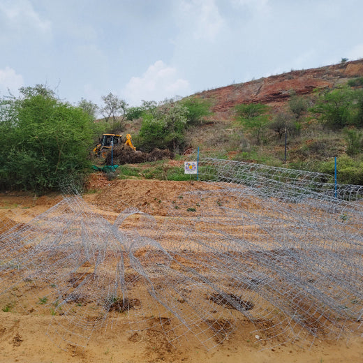 Reliance Foundation's Biodiversity Restoration Project: Sunhera Village – Planting