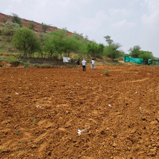 Reliance Foundation's Biodiversity Restoration Project: Sunhera Village – Planting