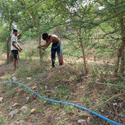 Reliance Foundation's Biodiversity Restoration Project: Sunhera Village – Planting