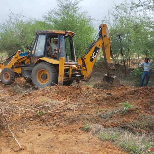 Reliance Foundation's Biodiversity Restoration Project: Sunhera Village – Planting