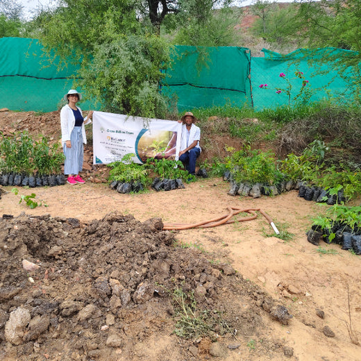 Reliance Foundation's Biodiversity Restoration Project: Sunhera Village – Planting