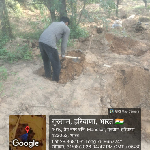 Planting for the Future: A Reliance Foundation Initiative in Gurugram – Planting