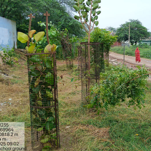 Reliance Industries Initiative: Community Tree Plantation for a Greener Future – 2 years