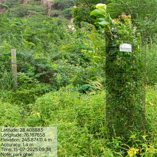Reliance Industries Initiative: Community Tree Plantation for a Greener Future – 2 years