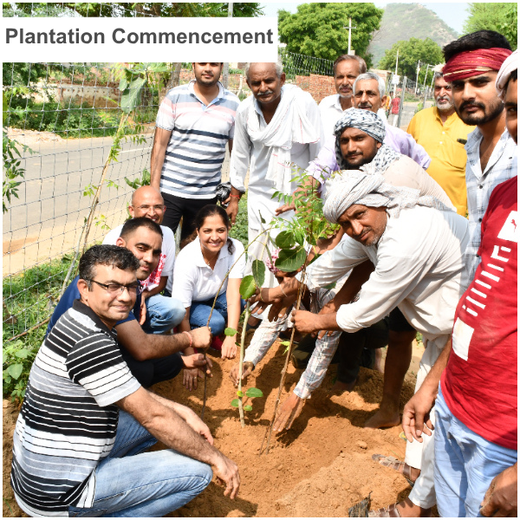 Reliance Industries Initiative: Community Tree Plantation for a Greener Future – 6 months