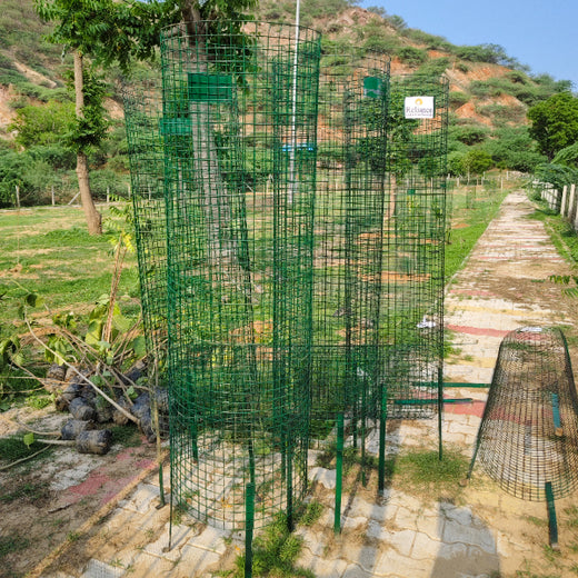 Reliance Industries Initiative: Community Tree Plantation for a Greener Future – Planting