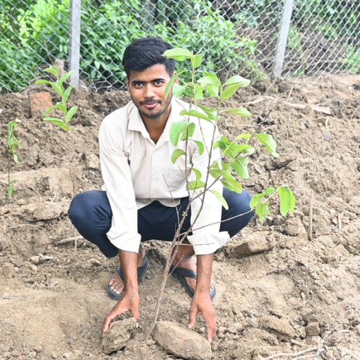 Growing Green Legacies: Reliance Industries Leads the Green Charge – 6 months