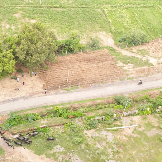 Growing Green Legacies: Reliance Industries Leads the Green Charge – Planting