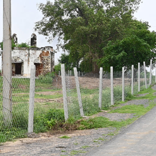 Growing Green Legacies: Reliance Industries Leads the Green Charge – Planting
