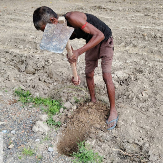 Growing Green Legacies: Reliance Industries Leads the Green Charge – Planting