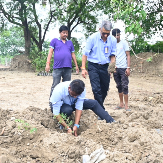 Growing Green Legacies: Reliance Industries Leads the Green Charge – 6 months