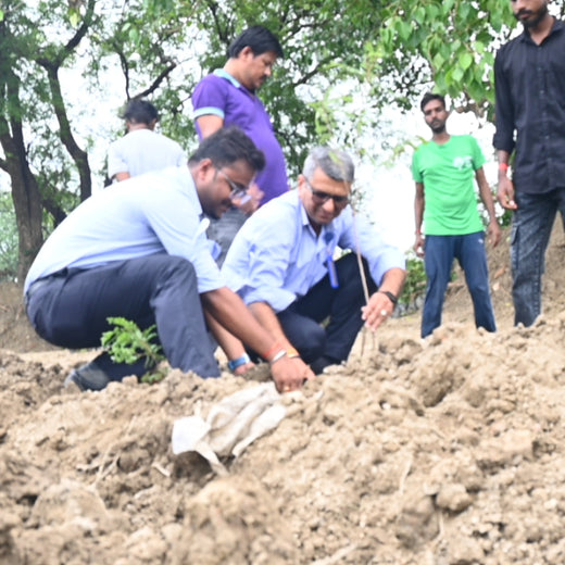 Growing Green Legacies: Reliance Industries Leads the Green Charge – 6 months