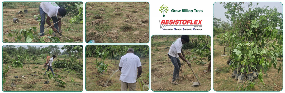 Resistoflex Dynamics: Building a Greener Community with Urban Forests