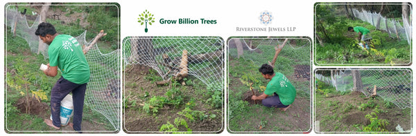 Riverstone Jewels: Celebrating Wedding with the Gift of Trees