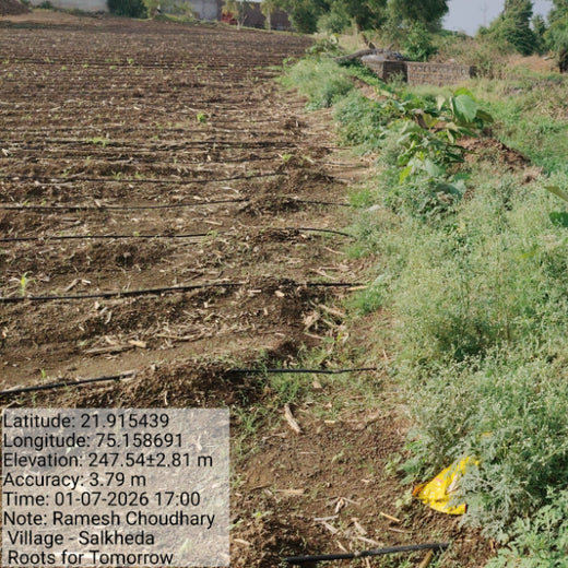 Nature’s Answer: Roots for Tomorrow’s Green Mission – 1 year