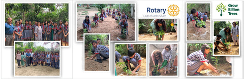 Rotary Club of Delhi South: Cultivating a Greener Future Through Urban Forests