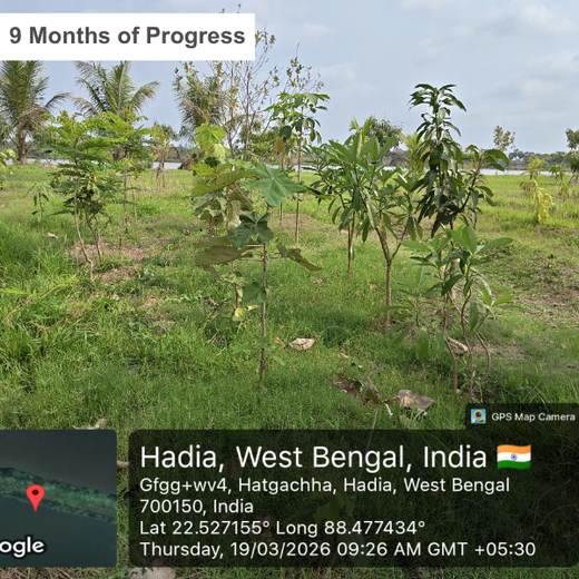 Rooted in Service, Growing Green: Rotary Club of Calcutta Visionaries – 2 years