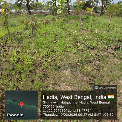 Rooted in Service, Growing Green: Rotary Club of Calcutta Visionaries – 2 years