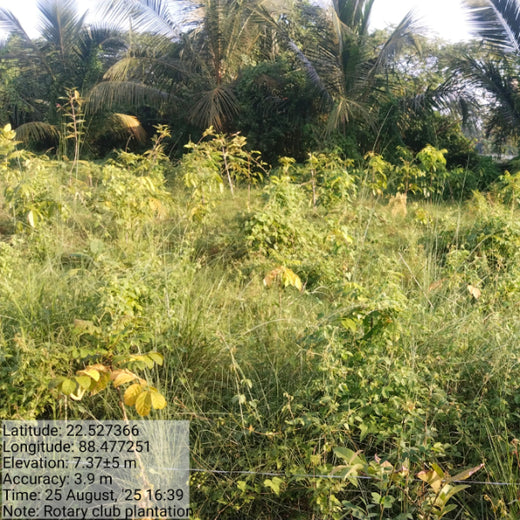 Rooted in Service, Growing Green: Rotary Club of Calcutta Visionaries – 1 year
