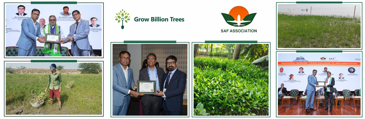 Decarbonizing Aviation with Mangroves: SAFA at India Climate Week 2026