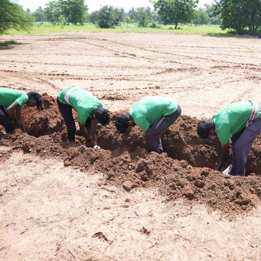 A Dream Rooted in Nature: The SS Rajamouli Family Initiative – Planting