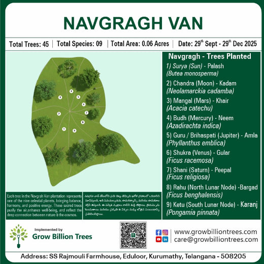 A Dream Rooted in Nature: The SS Rajamouli Family Initiative – Planting